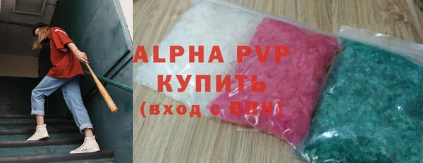 стаф Абинск