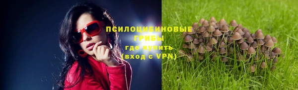 стаф Абинск