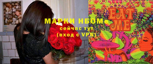 стаф Абинск