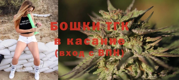 стаф Абинск