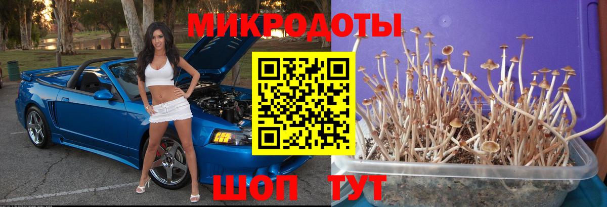 Псилоцибиновые грибы прущие грибы  Галлюциногенные грибы Psilocybe  Вход с VPN  Комсомольск-на-Амуре 