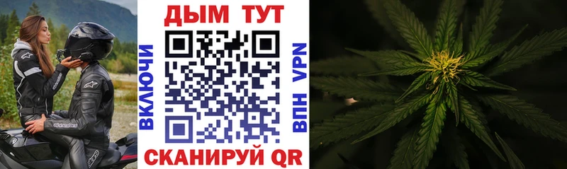 shop как зайти Комсомольск-на-Амуре Конопля VHQ